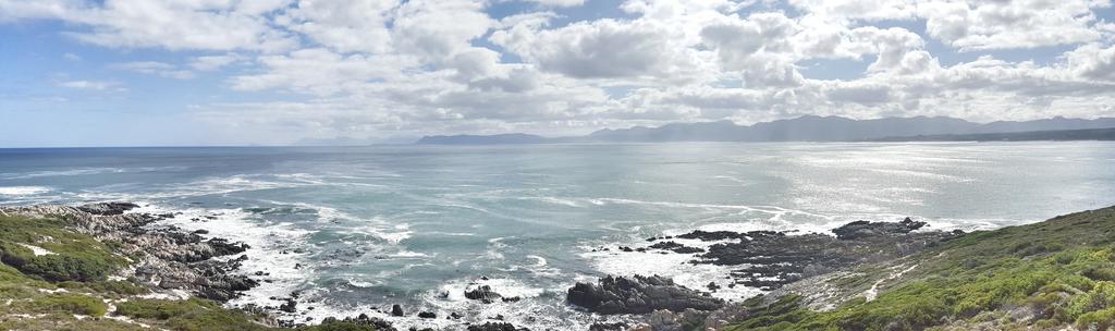 Whale Huys Luxury Oceanfront Eco Villa Gansbaai Eksteriør bilde