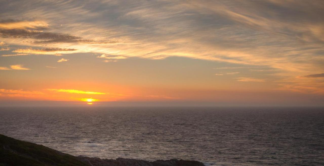 Whale Huys Luxury Oceanfront Eco Villa Gansbaai Eksteriør bilde
